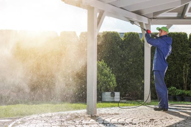 Best Fence Cleaning and Maintenance in Crockett, TX