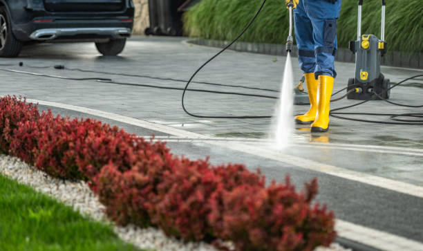 Best Sidewalk and Walkway Pressure Cleaning in Crockett, TX